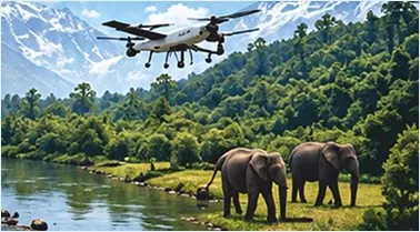 Forests, wildlife and Natural resources
